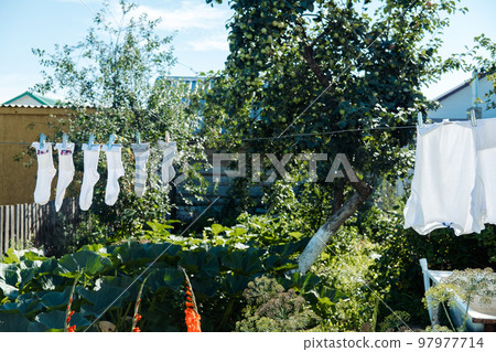 washed clothes on clotheslines are dried in the village on a sunny day in summer 97977714