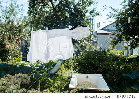 washed clothes on clotheslines are dried in the village on a sunny day in summer 97977715