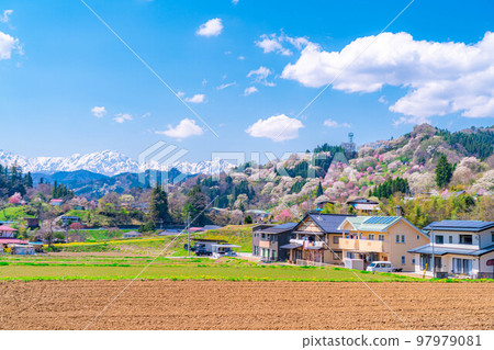 [春天的材料]里山的春天，二反田的櫻花[長野縣] 97979081