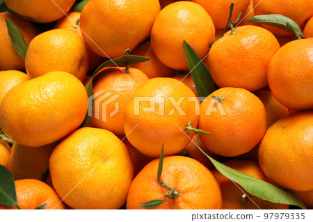 Fresh ripe tangerines with leaves as background, top view. Citrus fruit 97979335