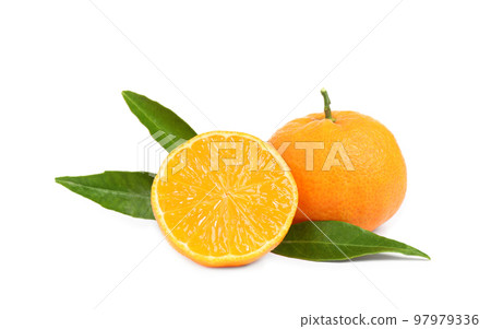 Fresh ripe tangerines with leaves isolated on white. Citrus fruit Fresh ripe tangerines with leaves isolated on white. Citrus fruit 97979336