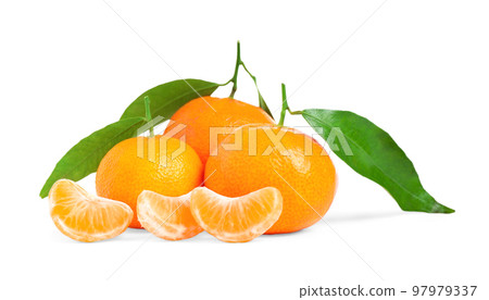 Fresh ripe tangerines with leaves isolated on white. Citrus fruit 97979337