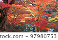 Momiji in Hirosaki Park 97980753