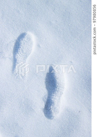 留在雪地裡的腳印 留在雪地裡的腳印 97980856