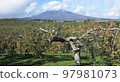 Apple Park and Mt. Iwaki 97981073