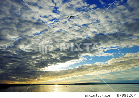 清晨波羅的海鱗狀雲天景 清晨波羅的海鱗狀雲天景 97981207