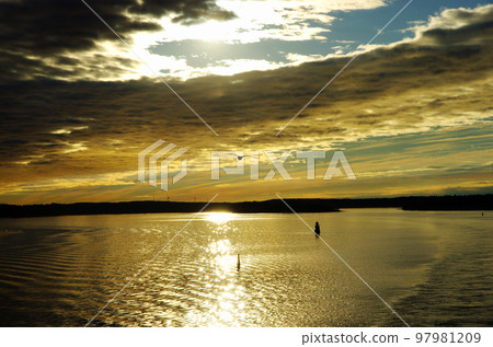 波羅的海烏賊屬天空和海景在清早 波羅的海烏賊屬天空和海景在清早 97981209