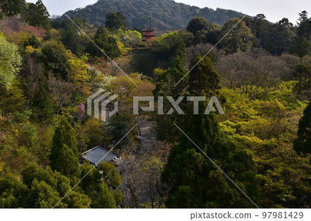 Kiyomizudera Temple in spring in Kyoto, Japan Beautiful cherry blossoms, fresh greenery and Koyasu Pagoda seen from the main hall of the National Treasure called Kiyomizu Stage Kiyomizudera Temple in spring in Kyoto, Japan Beautiful cherry blossoms, fresh greenery and Koyasu Pagoda seen from the main hall of the National Treasure called Kiyomizu Stage 97981429