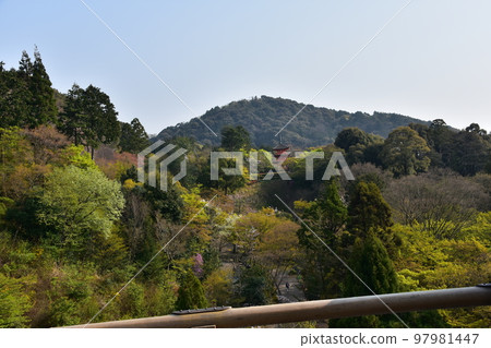 Kiyomizudera Temple in spring in Kyoto, Japan Beautiful cherry blossoms, fresh greenery and Koyasu Pagoda seen from the main hall of the National Treasure called Kiyomizu Stage Kiyomizudera Temple in spring in Kyoto, Japan Beautiful cherry blossoms, fresh greenery and Koyasu Pagoda seen from the main hall of the National Treasure called Kiyomizu Stage 97981447