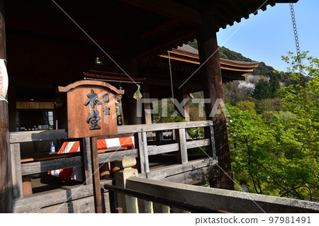 Kyoto, Japan, Kiyomizudera in spring, the main hall of a national treasure called Kiyomizu's stage, beautiful cherry blossoms and fresh greenery seen from the stage, a sign made of wood Kyoto, Japan, Kiyomizudera in spring, the main hall of a national treasure called Kiyomizu's stage, beautiful cherry blossoms and fresh greenery seen from the stage, a sign made of wood 97981491