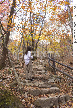 A woman walking her dog on a colorful mountain trail 97981582