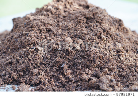 Peat moss, fertilizer soil for organic agriculture, plant growing, ecology concept. Peat moss, fertilizer soil for organic agriculture, plant growing, ecology concept. 97981971