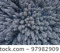Aerial drone shot of pine trees covered with snow. Snowy winter forest 97982909