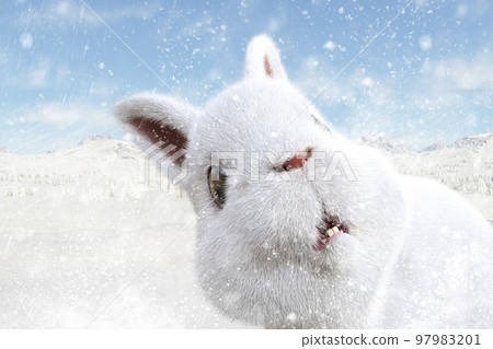 Zooming in on the face of a cute white rabbit... - Stock Illustration ...