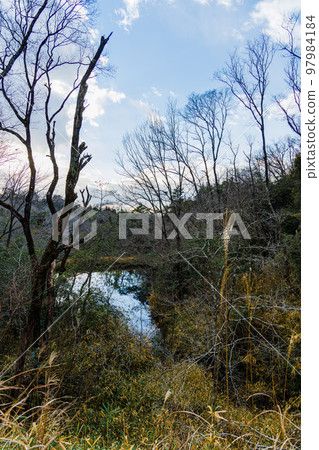 Kyoto Kizu Elevation 217m The first day of climbing to the nameless summit with a triangulation point 97984184