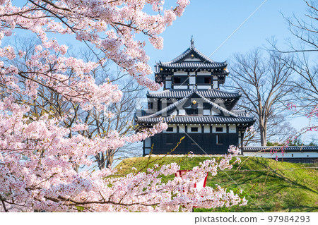 高田城址公園（春季） 97984293