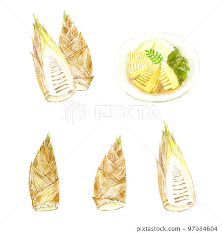 一組用水彩畫的竹筍和菜餚矢量 一組用水彩畫的竹筍和菜餚矢量 97984604