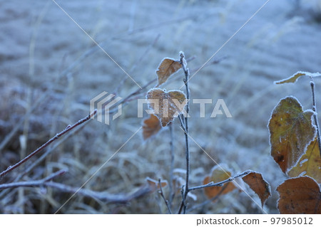 Kamikochi in late autumn (Chubu Sangaku National Park, Special Scenic Monument) 97985012