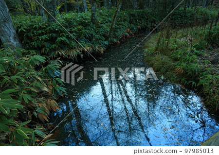 Kamikochi in late autumn (Chubu Sangaku National Park, Special Scenic Monument) Kamikochi in late autumn (Chubu Sangaku National Park, Special Scenic Monument) 97985013