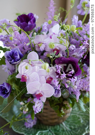 Phalaenopsis and spring purple color arrangement Phalaenopsis and spring purple color arrangement 97986878