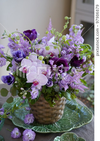 Phalaenopsis and spring purple color arrangement 97986879