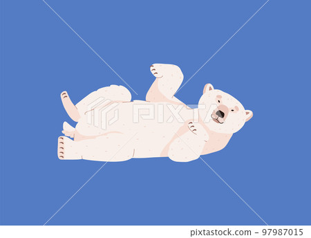 Polar bear lies on its back with raised paws, flat vector illustration isolated. 97987015