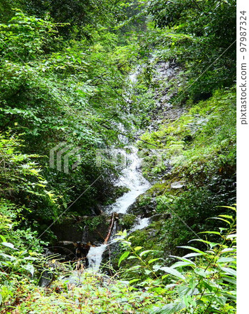Mountain stream 97987324