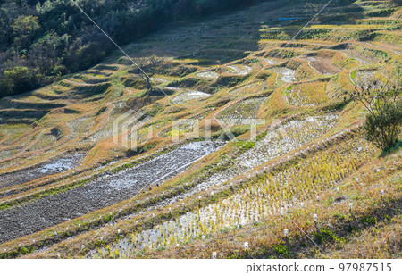 Rice paddies waiting for spring Rice paddies waiting for spring 97987515