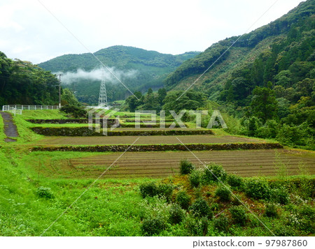 Rice terraces 97987860