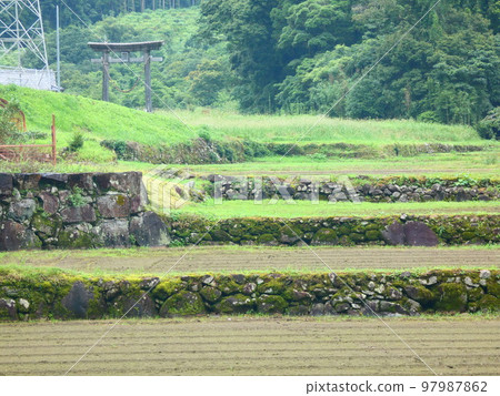 水稻梯田 水稻梯田 97987862