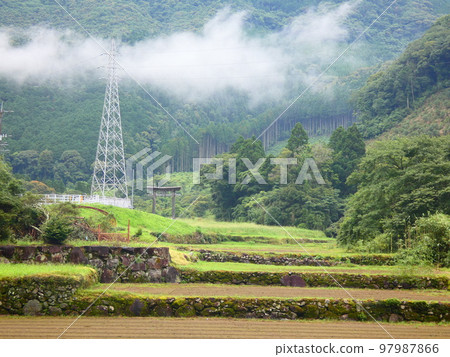 Rice terraces Rice terraces 97987866