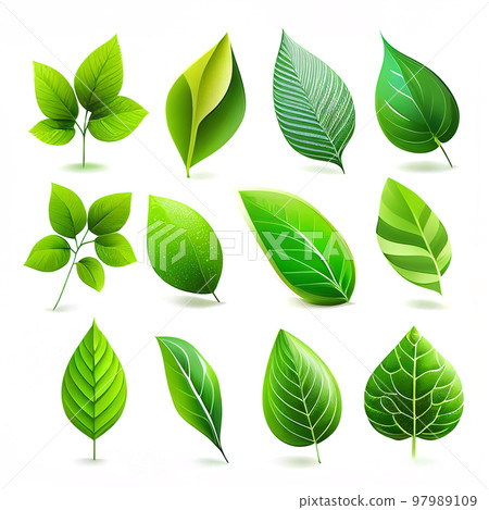 Illustration set of leafs with margins for graphic design. (created with Generative AI technology) 97989109