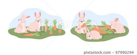 Cute bunnies eating carrot on the field in grass, cartoon flat vector illustration isolated on white background. 97990294