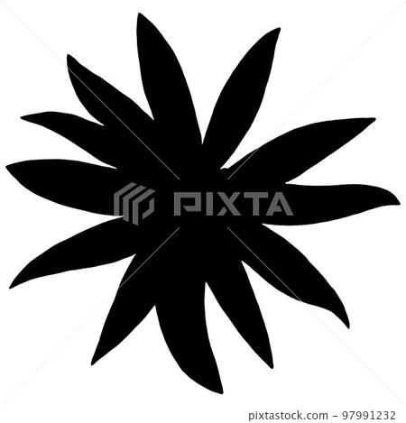 Topinambur Silhouette Isolated on White Background. Jerusalem Artichoke Flower Element Drawn by Pencil. Topinambur Silhouette Isolated on White Background. Jerusalem Artichoke Flower Element Drawn by Pencil. 97991232