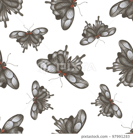 Seamless Pattern with Hand Drawn Colorful Butterflies on White Background. Digital Paper with Butterfly. 97991283