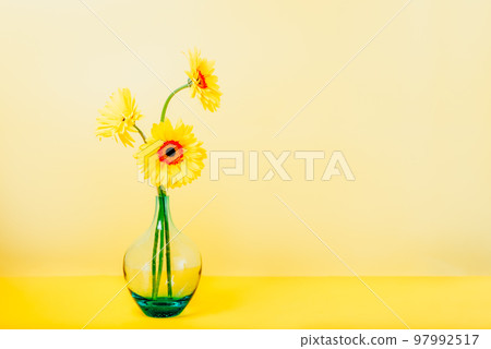 Bouquet of yellow daisy-gerbera flowers in a stylish glass vase on bright yellow background. Monochrome. Floral background with copy space. Bouquet of yellow daisy-gerbera flowers in a stylish glass vase on bright yellow background. Monochrome. Floral background with copy space. 97992517