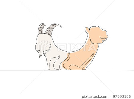 Single continuous line drawing of goat and camel head. Muslim holiday the sacrifice an animal such as goat, camel, sheep and cow, Eid al Adha greeting card concept one line draw design illustration 97993196