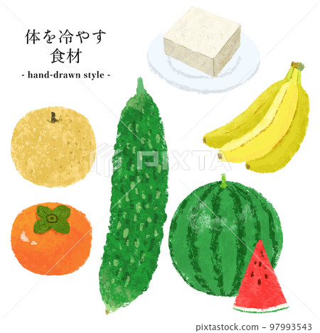 Ingredients set to cool the body in a hand-drawn style Ingredients set to cool the body in a hand-drawn style 97993543