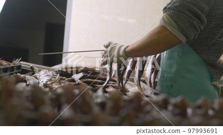 Pulls the fish to the knitting needle. Hangs fish for further drying the fish. Prepared for further drying process. Fish factory, stage of drying fish. 97993691