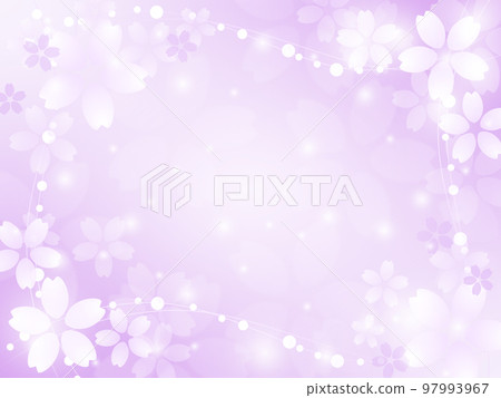 佐倉紫色背景,春天閃光框架 佐倉紫色背景,春天閃光框架 97993967