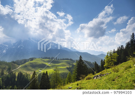 Idyllic landscape in the Alps with fresh green meadows, pine forest and mountain tops in the background Idyllic landscape in the Alps with fresh green meadows, pine forest and mountain tops in the background 97994103