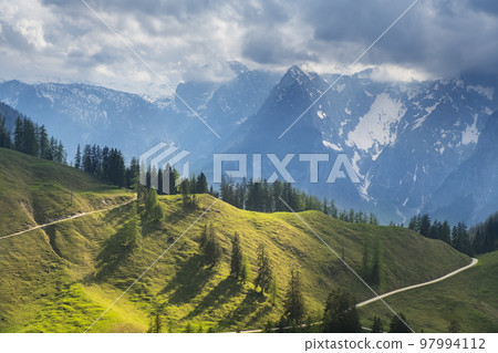 Idyllic landscape in the Alps with fresh green meadows, pine forest and mountain tops in the background Idyllic landscape in the Alps with fresh green meadows, pine forest and mountain tops in the background 97994112