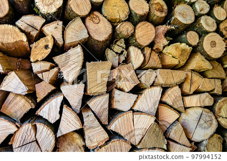 Photography on theme big wall of stacked oak tree logs in cracks 97994152