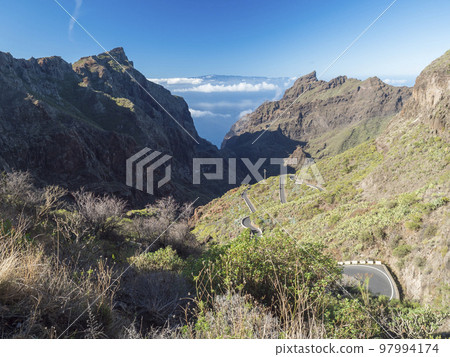 Dramatic lush green landscape with sharp rocks, winding curvy mountain road towards Masca village situated in a picturesque valley, Tenerife, Canary Islands, Spain. sunny winter day, blue sky Dramatic lush green landscape with sharp rocks, winding curvy mountain road towards Masca village situated in a picturesque valley, Tenerife, Canary Islands, Spain. sunny winter day, blue sky 97994174