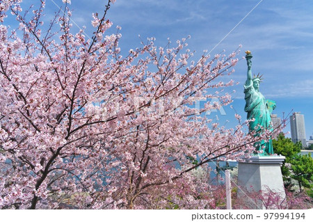 The Statue of Liberty shines in the blue sky over the pink cherry blossoms blooming at Odaiba Kaihin Park 97994194
