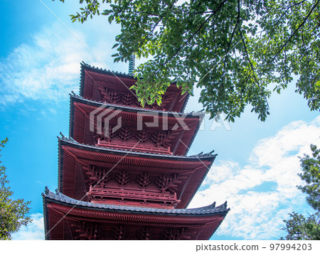夏天的池上本門寺 夏天的池上本門寺 97994203