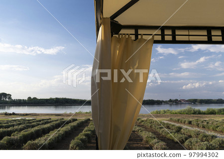 Travelling to Silistra, near the river Danube Travelling to Silistra, near the river Danube 97994302