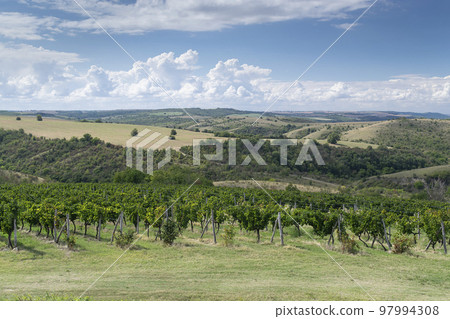 View from high to beautiful hills in Bulgaria 97994308