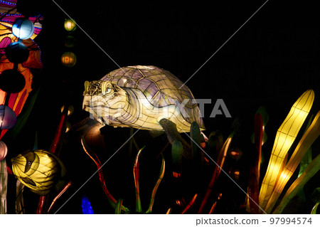 Large inflatable luminous toy turtle and multi-colored LED on a night background Large inflatable luminous toy turtle and multi-colored LED on a night background 97994574