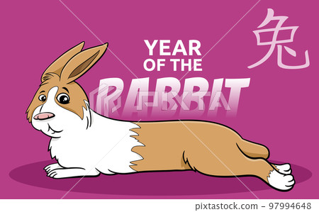 Chinese New Year design with funny comic rabbit Chinese New Year design with funny comic rabbit 97994648